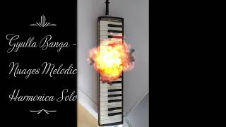Video Gyulla Banga   Nuages Melodic Harmonica