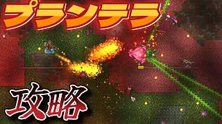 【Terraria】12・プランテラ撃破！！！