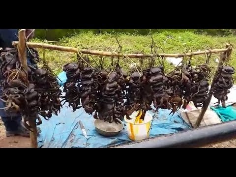 Crab curry simple recipe