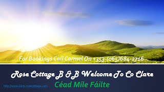 Bed And Breakfast Ennis Co Clare: Rose Cottage Guest House Accommodation