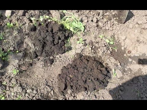 Что такое "Структура почвы", и можно ли ее улучшить?