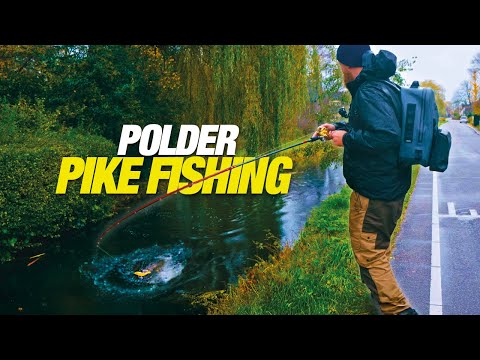 Pike Fishing in Dutch Polders – I-Slide 187R Swimbait Fishing