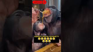 Download lagu Monyet mukbang Mie | Video lucu pasti ketawa dan ngakak.. #funny #humor #viralvideo #memes #short mp3