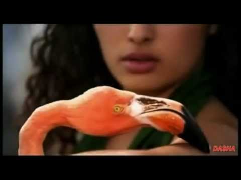 Hefestion - Stamatis Spanoudakis