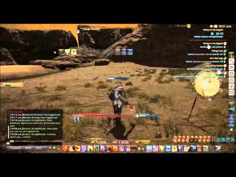 FFXIV Paladin Quest Lv 45  Parley in the Sagolii