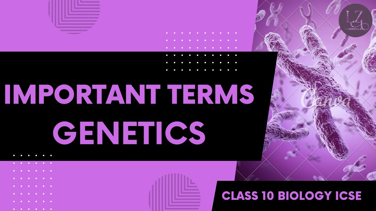 Biology Important Questions | Terminology | Genetics Class 10 ICSE
