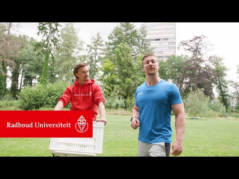 How to ride a bike in the Netherlands