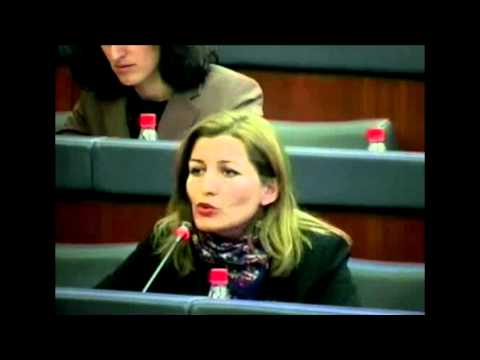 Fjala e Alma Lamës në raportimin e Hashim Thaçit për takimin e tretë me Daçiçin 12.12.2012