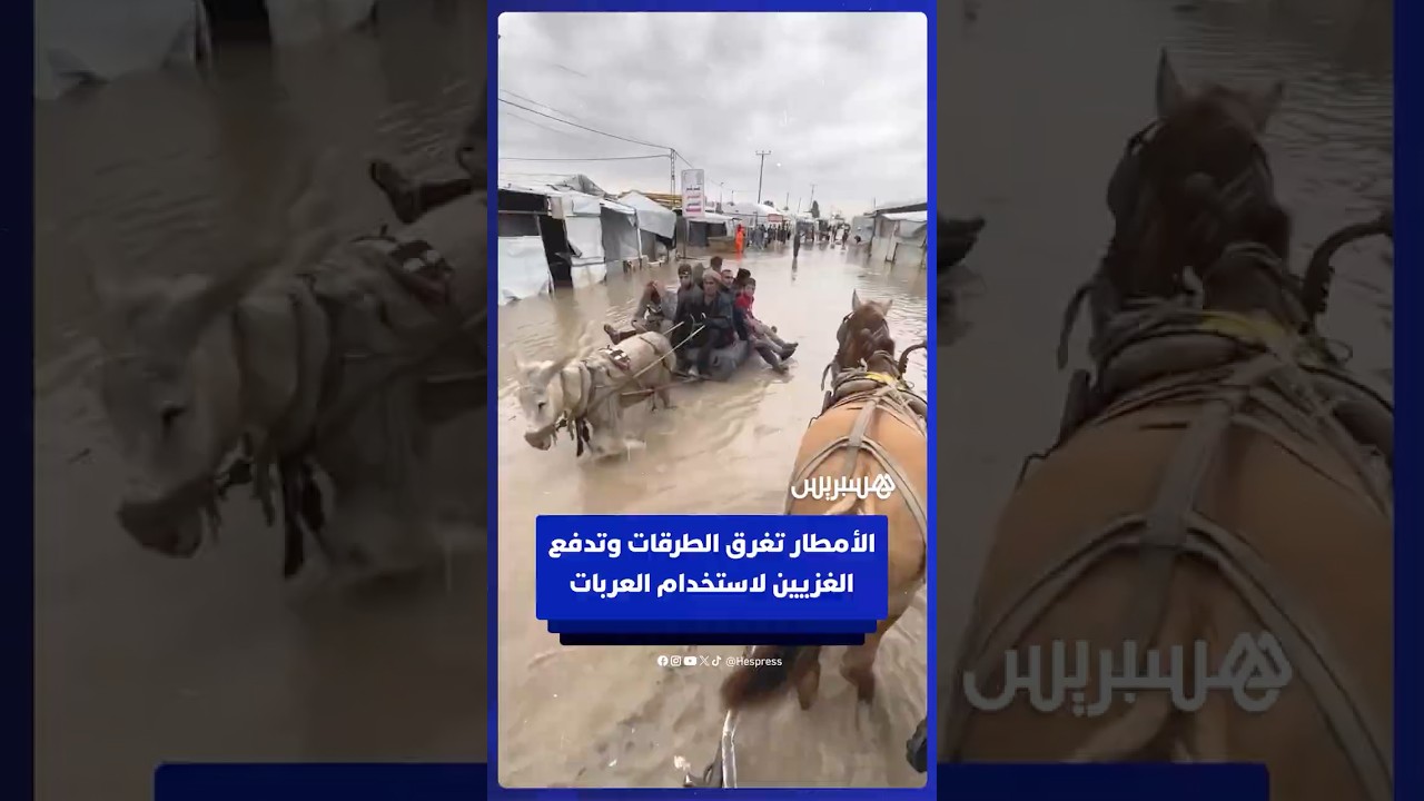 الأمطار الغزيرة تغمر خيام النازحين وتجبرهم على استخدام العربات للتنقل في قطاع غزة thumbnail