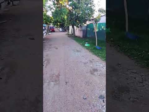 Pasaje las Violetas Viale