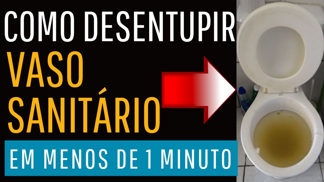 Como desentupir vaso em 1 minuto