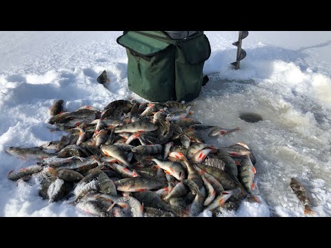 Kalastus - pilkillä merellä 25.2.2023