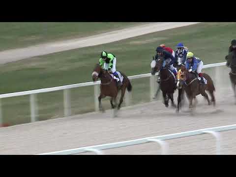 2021.04.04. 04. futam - MERHAL ERNŐ EMLÉKVERSENY HENDIKEP (IV.o.) (szintetikus pálya)