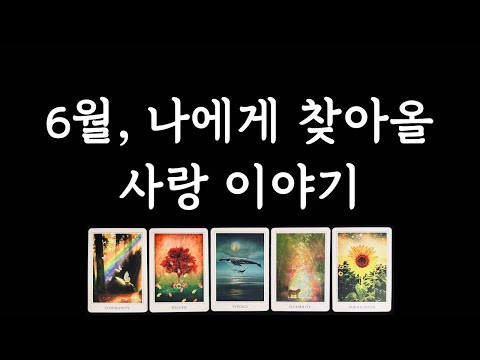 [타로/연애운] 6월 연애운❤️‍🔥 솔로/커플