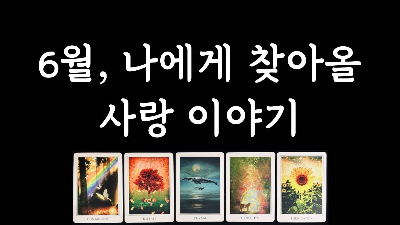 [타로/연애운] 6월 연애운❤️‍🔥 솔로/커플