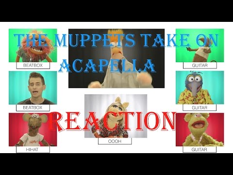 The Muppets take on A Cappella - "Cool Kids"  Reaction