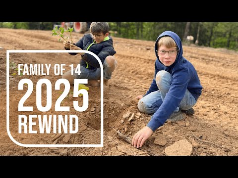 Rassegna dell'anno 2025: la vita con una famiglia di 14 persone