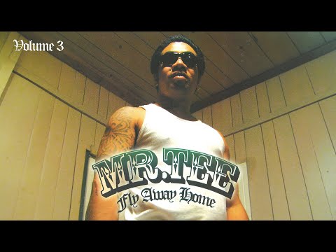 Mr Tee - Fly Away Home (Audio)