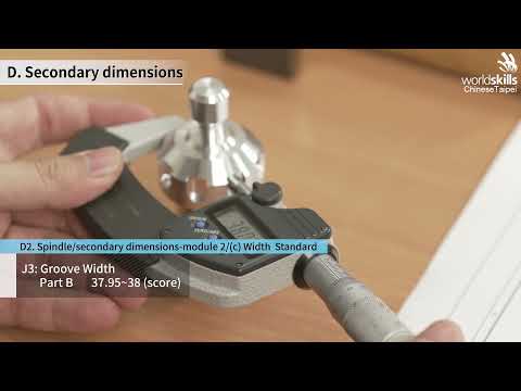 06. Secondary dimensions_Instructions for literal