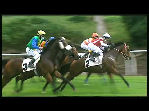 Galoppo 02/11/2020 - 1ª corsa