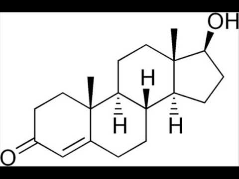 Puosiu x Silas - Testosteron (07.09.2013)
