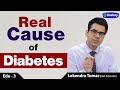 What Causes Diabetes | Does Insulin Resistance Causes Diabetes | Diabexy EDU - 3