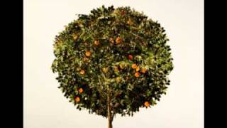 Cartel- Tonight Lyrics