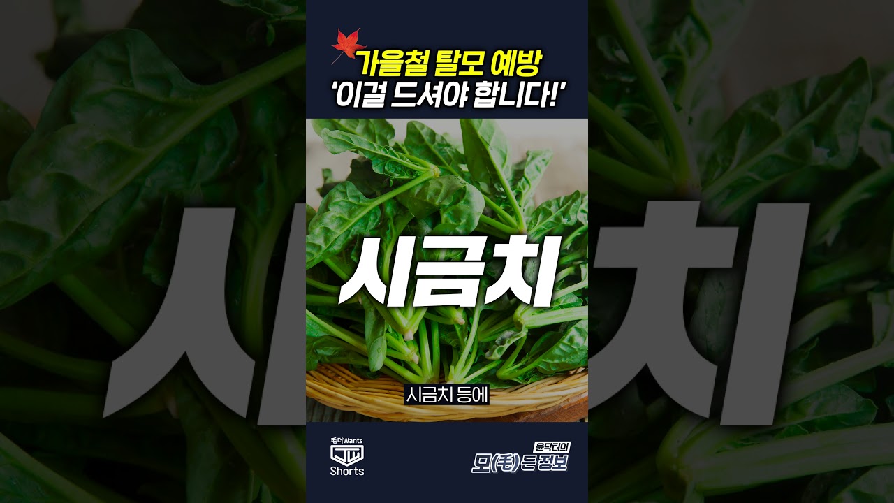 더원츠의원 숏폼