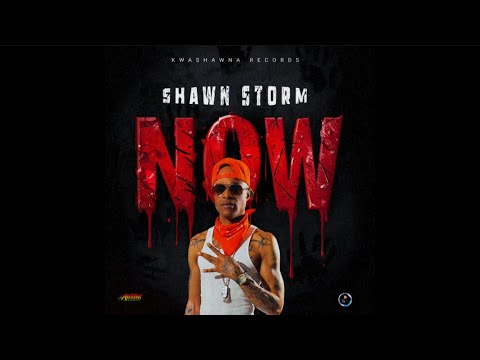 Shawn Storm - NOW (Official Audio)