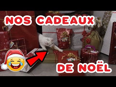🎁OUVERTURE DE NOS CADEAUX DE NOËL 2017🎁 !!! Nintendo Switch, Hatchimals,...- Kid studio test