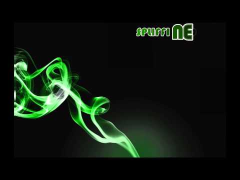 RapSchooL - SPLIFFIN [DugGa , Tushaki , Kriisma 2014]