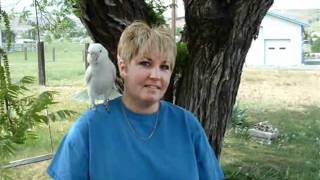 Down Life&#39;s Highway Narrated Version.wmv