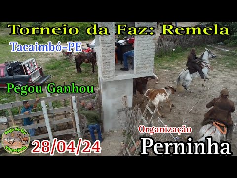 Fazenda Remela Tacaimbó-PE Org Pérninha 28/04/24 pegou ganhou
