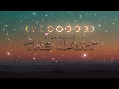 Diego Dantè - The night (Original Mix)