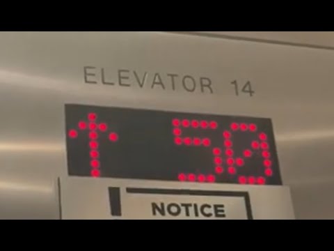 2023 Take: ROCKET Northern/TKE Elevators @ Hilton North Tower, Niagara Falls, ON