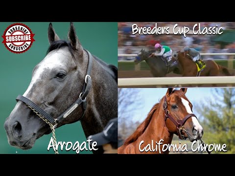2016 Breeders' Cup Classic |Arrogate vs California Chrome