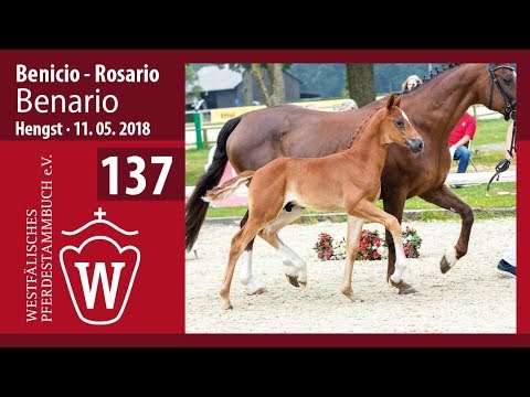 137 Benario HF v. Benicio - Rosario