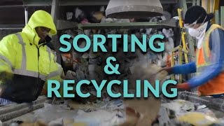 Sorting and Recycling Facility - Follow the Process
