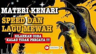 Download lagu MASTERAN SOGON‼️ MATERI KENARI SPEED DAN LAGU MEWAH #sogon #sogongacor #sogokontong mp3