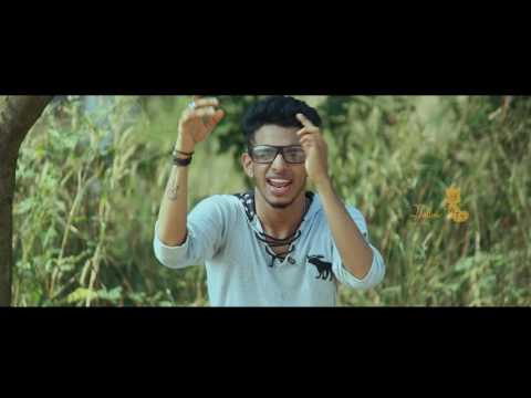 Yellow Cat  creation