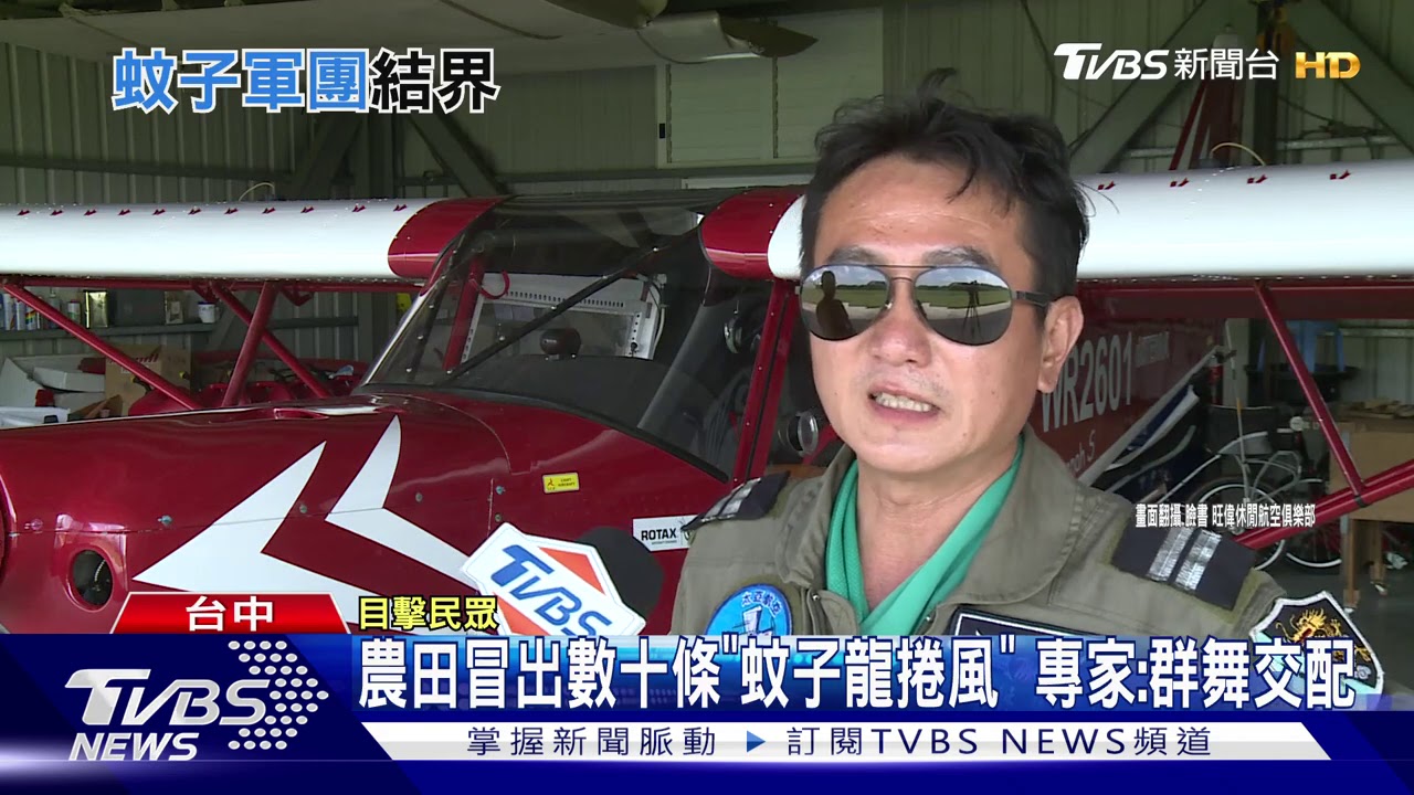 農田冒出數十條「蚊子龍捲風」 專家:群舞交配