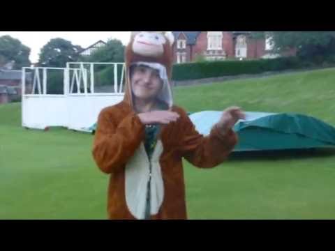 Dark Stars - Malvern Juniors & Seniors 2016