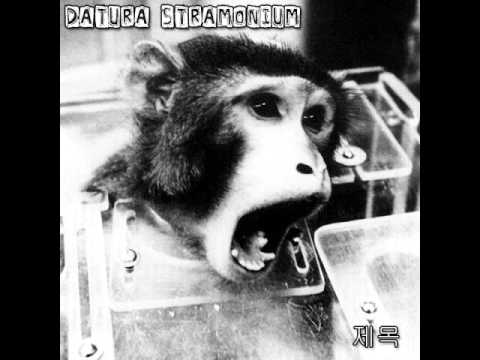 Datura Stramonium - ARM9E