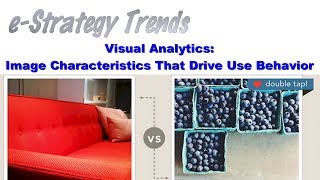 Visual Analytics: Image Characteristics That Drive Use Behavior