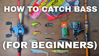 EVERYTHING You Need To Start Pond Bass Fishing!!