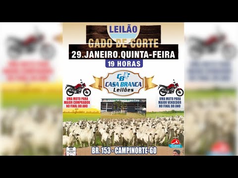 CASA BRANCA LEILÕES  -  CAMPINORTE - GO 29/01/2026