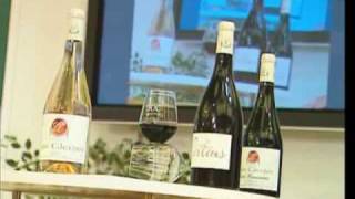 preview picture of video 'Domaine Jean Gleizes - Vinisud 2007'