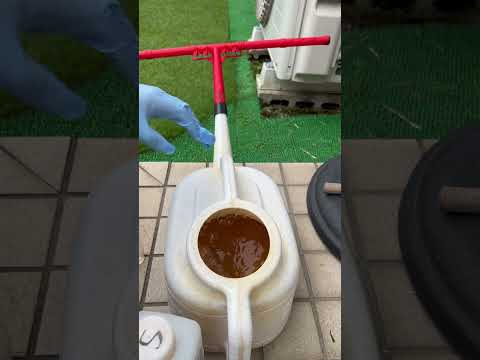 秋には芝生をやり直す