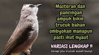 Download lagu Trucukan GACOR ngalas ROPEL PANJANG suara alam AMPUH buat pancingan jadikan trucuk Gacor GARUDA mp3