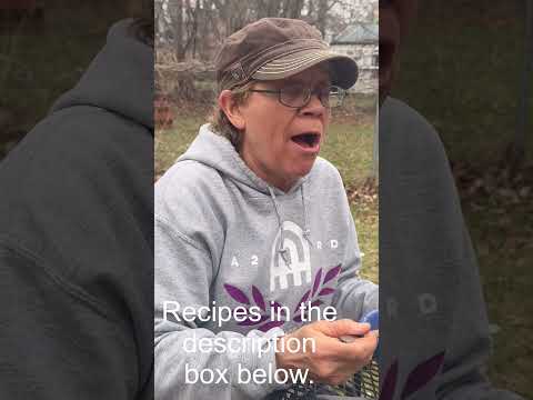 Play video Food for the afternoon 